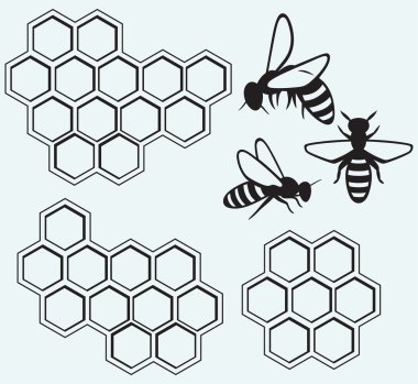 Free Bee Theme Svg SVG PNG EPS DXF File