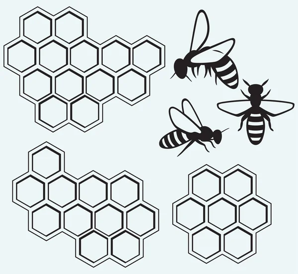 亲爱的单元格上的蜜蜂 — 图库矢量图片