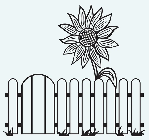 Tournesol et clôture — Image vectorielle