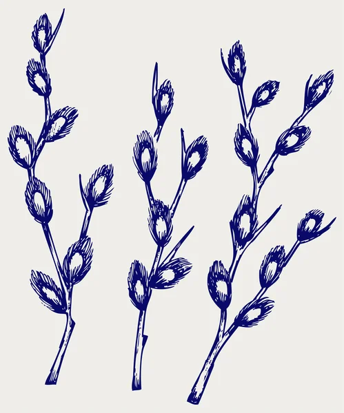 猫柳树枝 — 图库矢量图片