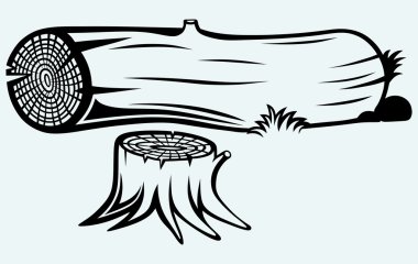 Cross section of tree stump clipart