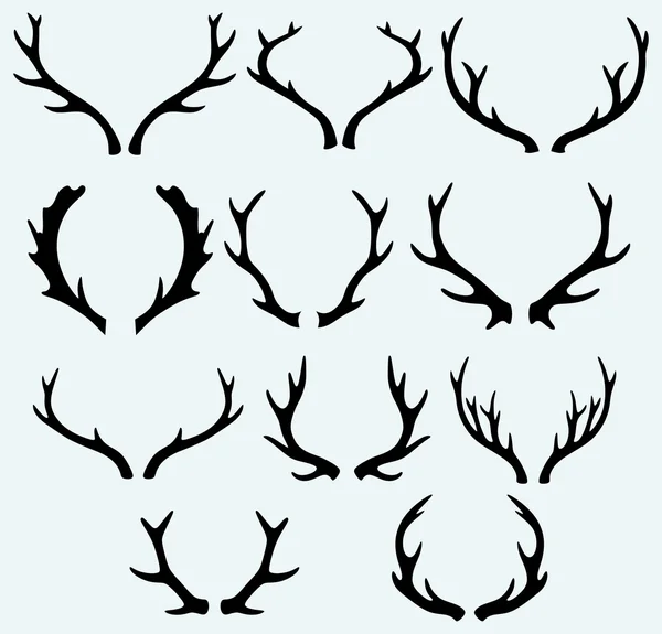 Deer horns — Stock Vector