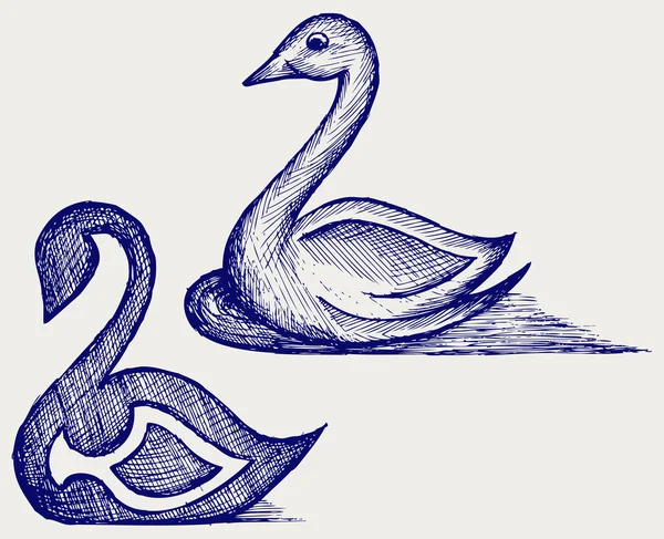 Señal de cisne — Vector de stock