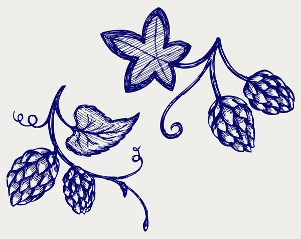 Houblon — Image vectorielle