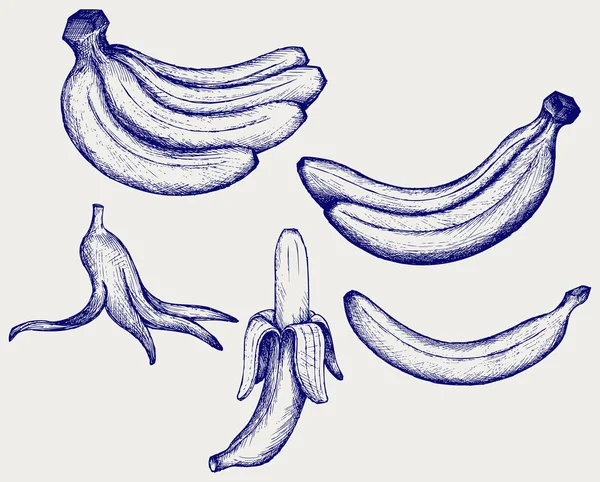 Bos van bananen, gepelde banaan en bananenschil — Stockvector