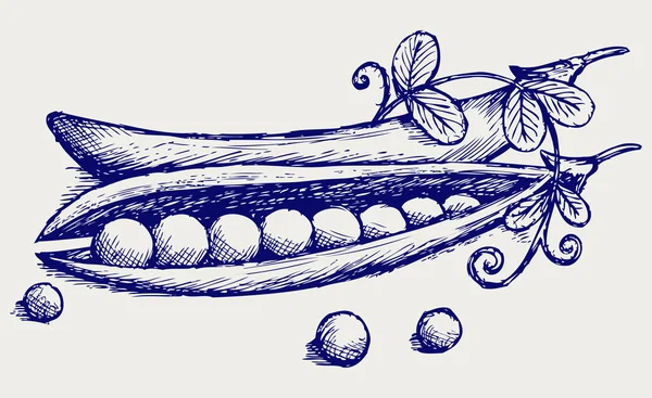 Ervilhas frescas —  Vetores de Stock