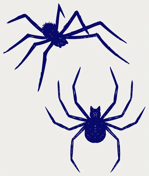 Černý pavouk — Stockový vektor