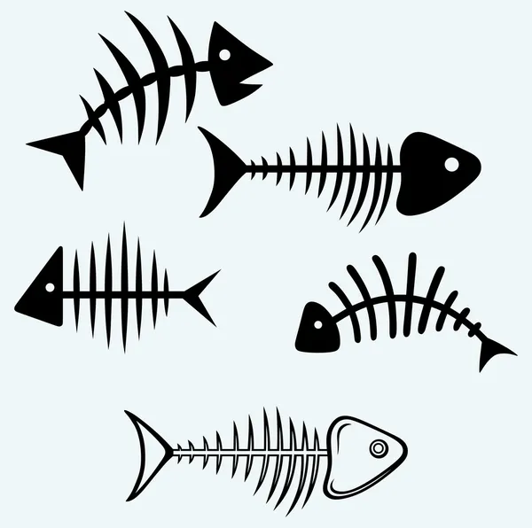 Esqueleto de pescado — Vector de stock