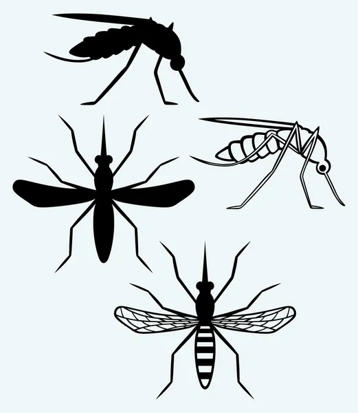 Siluetas de mosquitos — Vector de stock