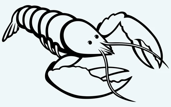 Crayfish sketch — Stock Vector