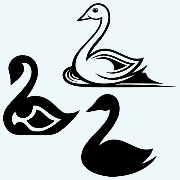 Signe de cygne — Image vectorielle