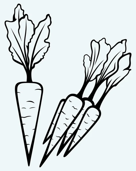 Légumes aux carottes avec feuilles — Image vectorielle