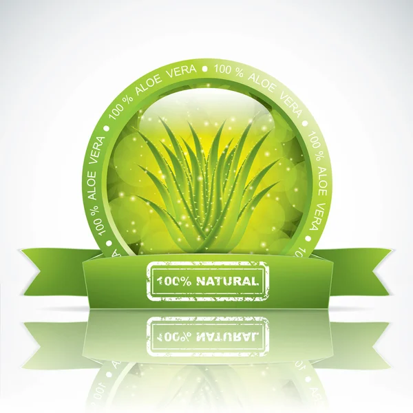 Aloe vera — Vetor de Stock