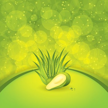 avokado ve aloe vera