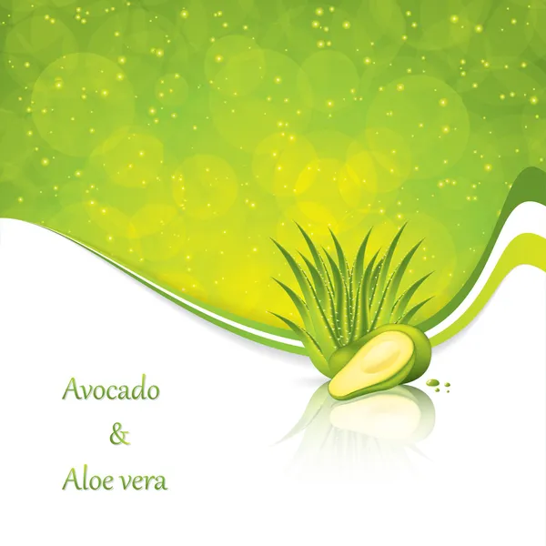 Avokado och aloe vera — Stock vektor
