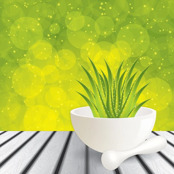 Aloe vera — Image vectorielle