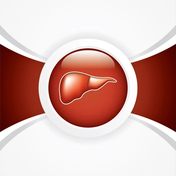 Karaciğer — Stok Vektör