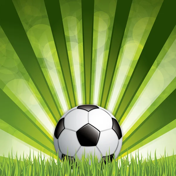 futbol topu çimlerin üzerinde