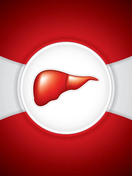 Karaciğer — Stok Vektör