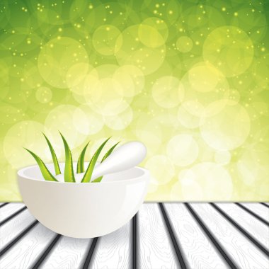 aloe vera