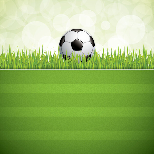 Soccer ball on grass