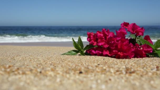Tropical beach květiny
