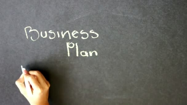 Business Plan Time lapse — Stock Video