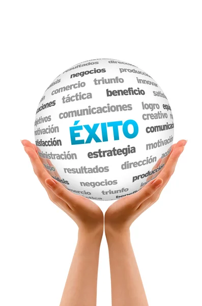 Esfera de palabras exitosas (en español) ) — Foto de Stock