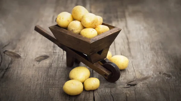 Potatos in een miniatuur kruiwagen — Stockfoto