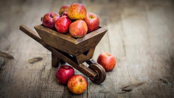 Verse rode appels — Stockfoto