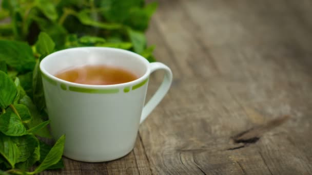 Steaming fresh mint tea — Stock Video