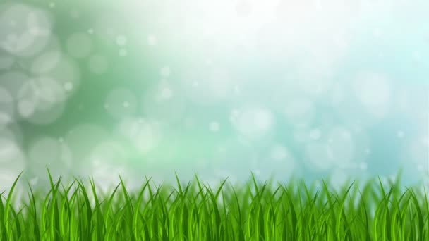 fond d'herbe