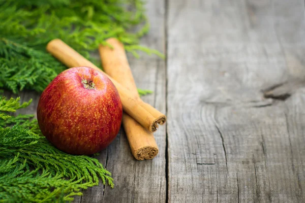 Rött äpple med kanelstänger — Stockfoto