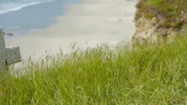 Tombstone on a beach — Stock Video