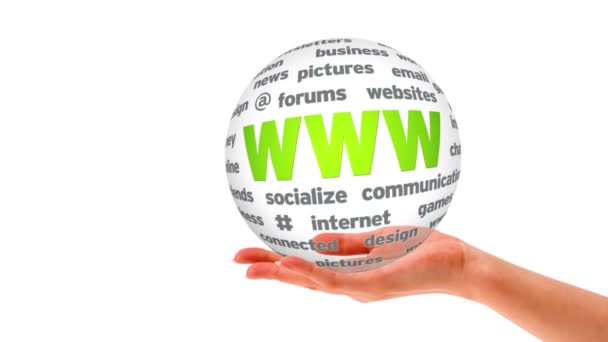 World Wide Web word Sphere — Stock Video