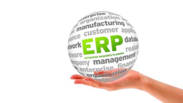 Enterprise Resource Planning Word Sphere — Stock Video