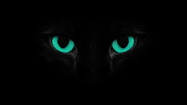 Yeux de chat bleus clignotants 