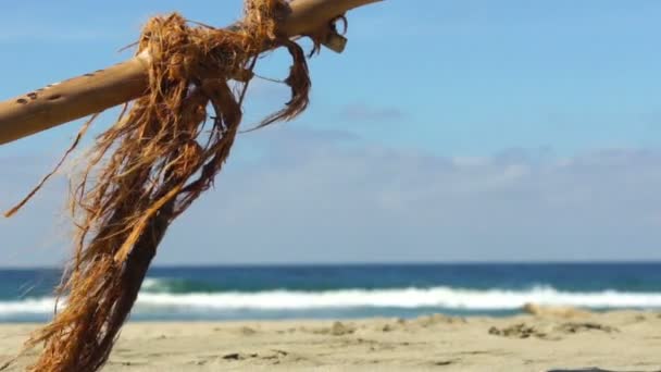 海に近い田園地帯のドリー ショット — ストック動画