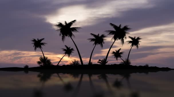 Pôr-do-sol da ilha da palmeira — Vídeo de Stock
