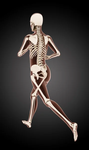 Running female medical skeleton — Stock Photo, Image