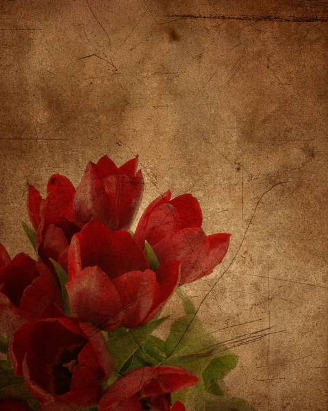 Grunge tulips — Stock Photo, Image