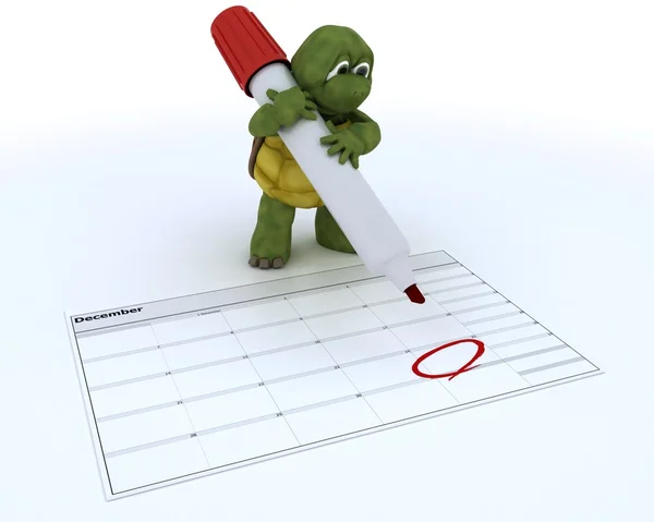 Tortoise with a calendar — Stock Photo, Image