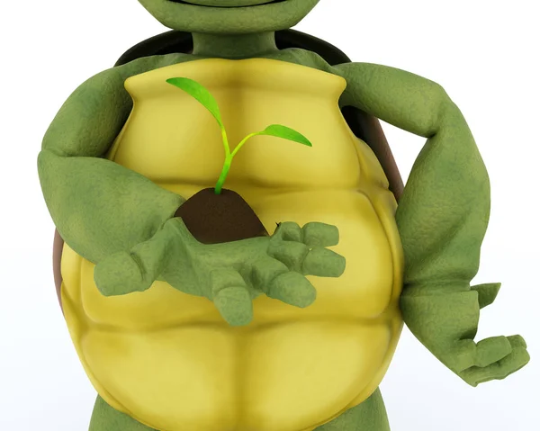 Tortuga que alimenta una planta de semillero — Foto de Stock