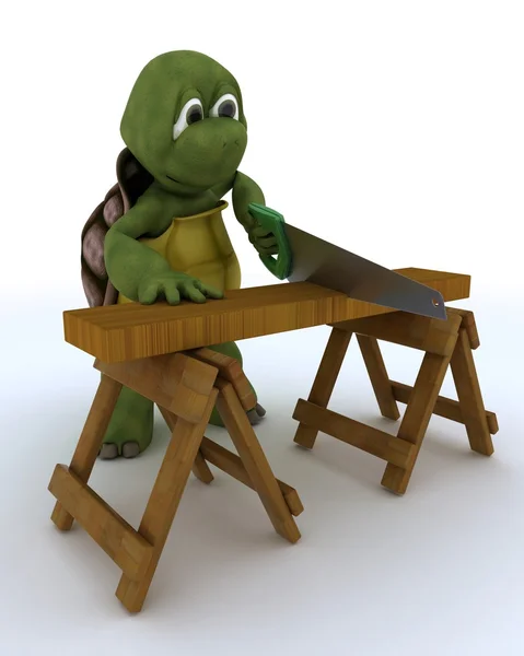 Χελώνα ξυλουργός ανάδοχος — Φωτογραφία Αρχείου