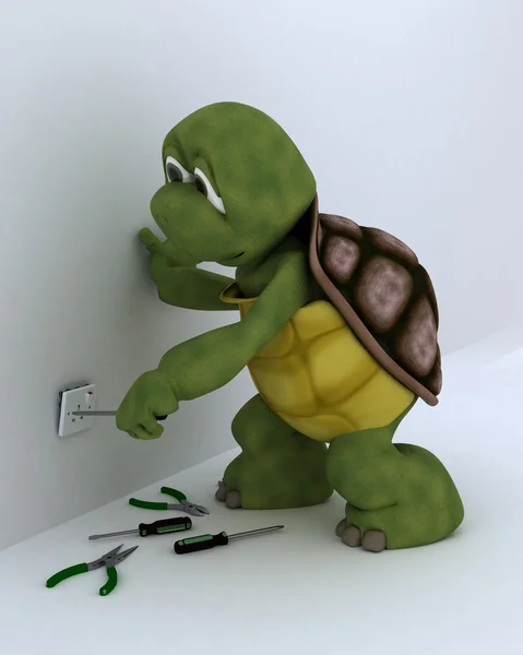 Tortoise electrical contractor — Stock Photo, Image