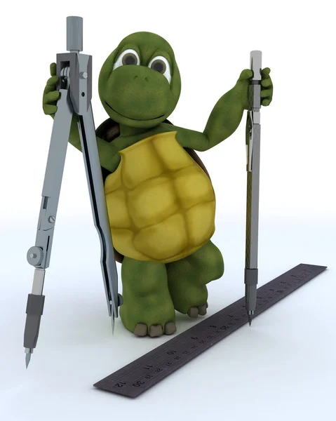 Tortoise with drawing aids — Stock Photo, Image