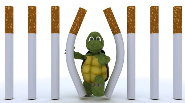 Kaplumbağa kaçan sigara cezaevi — Stok fotoğraf