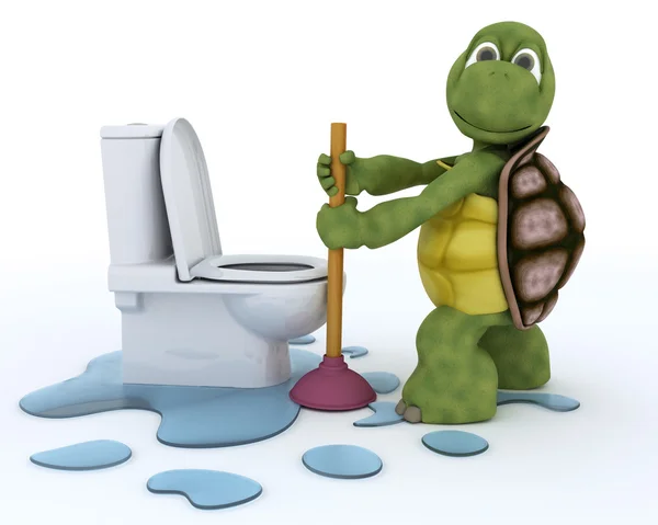 Tortoise plumbing contractor — Stock Photo, Image