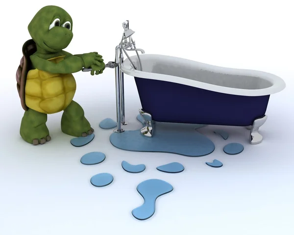 Tortoise plumbing contractor — Stock Photo, Image