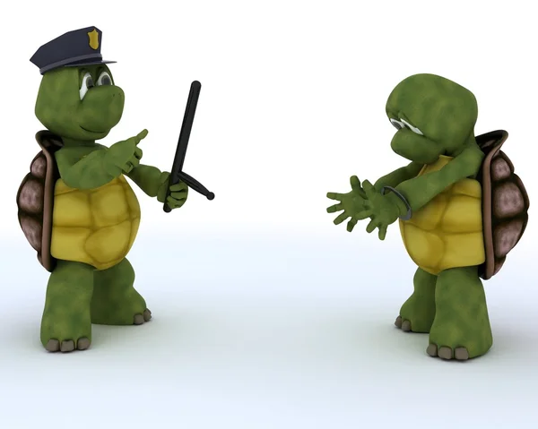 Tortoises as cops and robbers — Stock Photo, Image